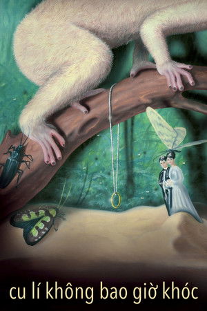 Cu li không bao giờ khóc