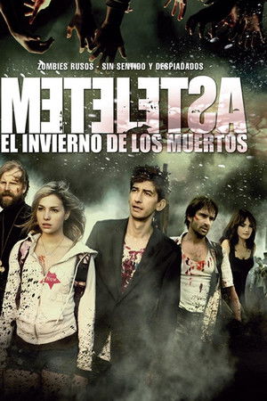 Zima mertvetsov. Metelitsa