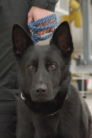 Jak to lítá na letišti