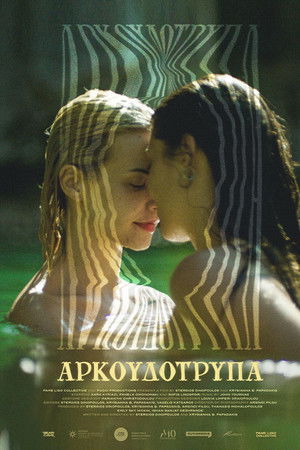 Αρκουδότρυπα