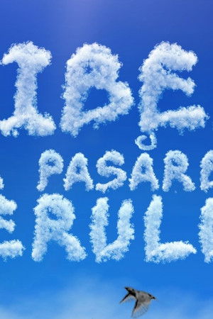 Liber ca pasărea cerului