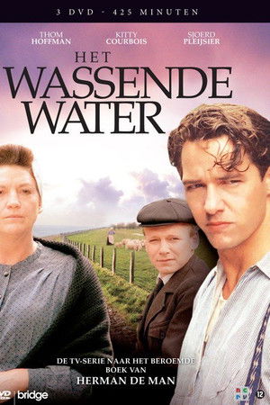 Het wassende water