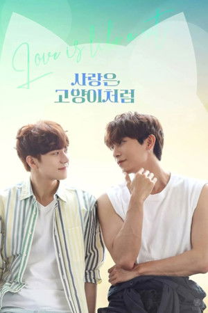 사랑은 고양이처럼