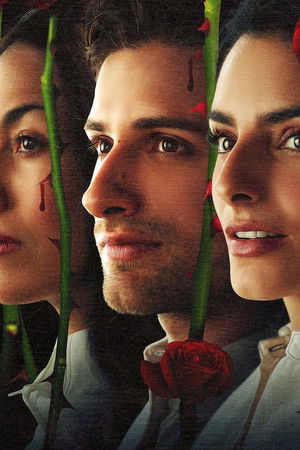 La casa de las flores