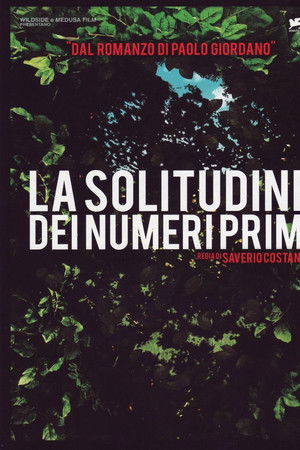 Asal Sayıların Yalnızlığı