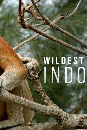 Wildest Islands of Indonesia