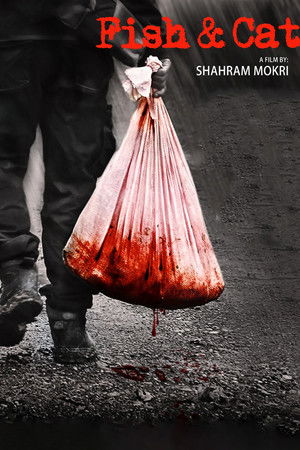 ماهی و گربه