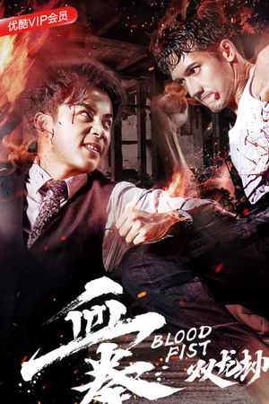 血拳之双龙劫
