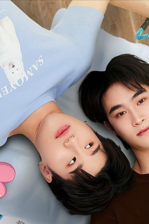 หมาน้อง