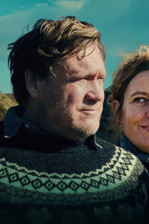 Kaikki rakastavat hevosia