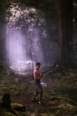 Brotherhood of the Rose