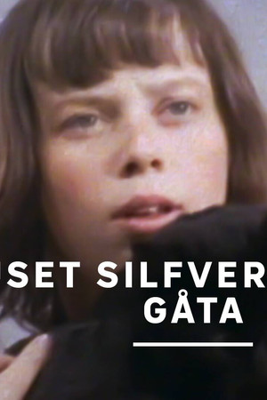 Huset Silfvercronas gåta