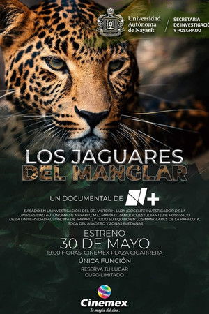 Los Jaguares del Manglar