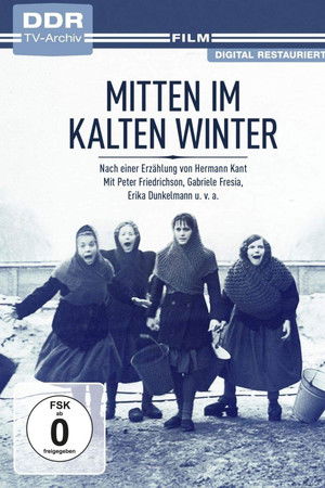 Mitten im kalten Winter