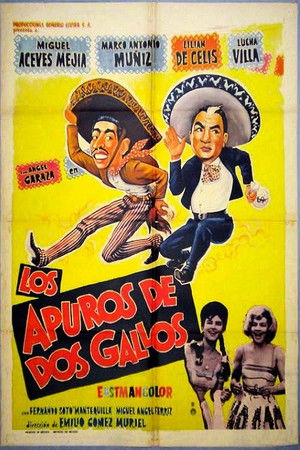 Los apuros de dos gallos