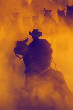 Out Where the West Begins