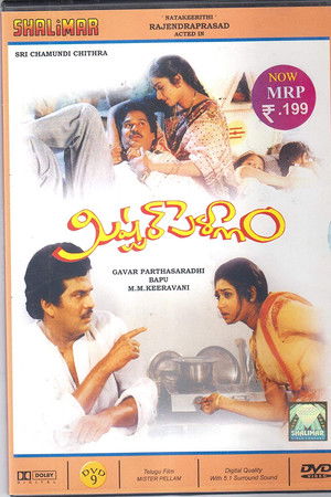 మిస్టర్ పెళ్ళాం