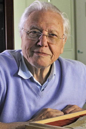 David Attenborough's Rise of Animals: Triumph of the Vertebrates