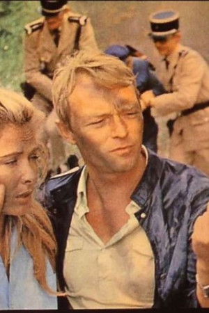 Aux frontières du possible