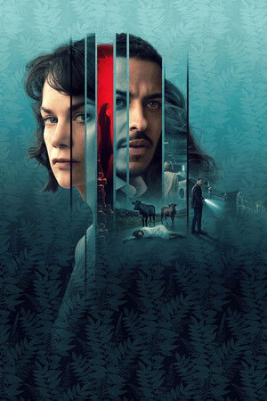 The Woman in the Wall