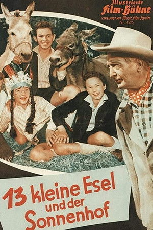 13 kleine Esel und der Sonnenhof