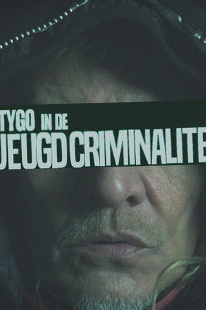 Tygo in de jeugdcriminaliteit