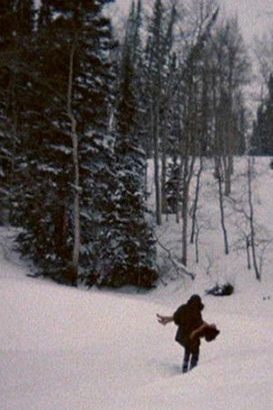 The Deliberate Stranger