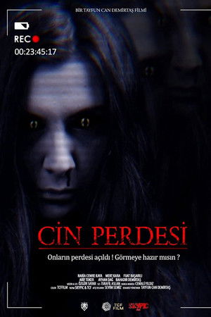 Cin Perdesi