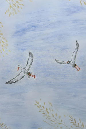 Latvija no putna lidojuma