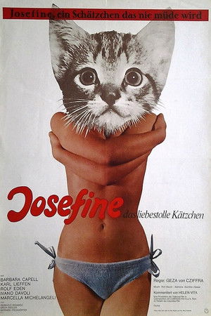 Josefine - das liebestolle Kätzchen