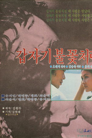 갑자기 불꽃처럼