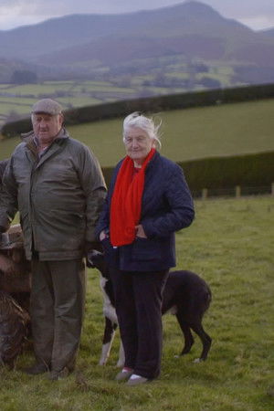 A Year in the Beacons