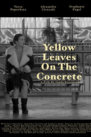 Yellow leaves on the concrete