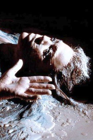 Die Tote von Amelung