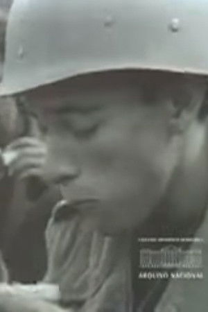 Brasil - FEB na Itália