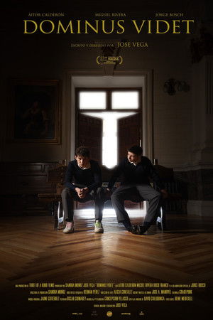 Dominus videt