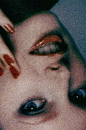 Let's Make a Sandwich