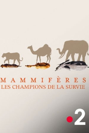 Mammifères, les champions de la survie