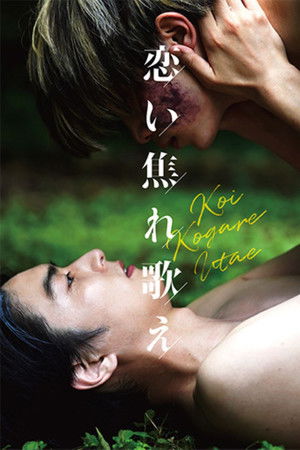 恋い焦れ歌え