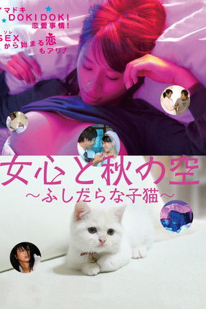 女心と秋の空 ふしだらな子猫