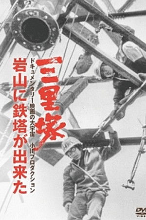 三里塚・岩山に鉄塔ができた