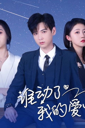 谁动了我的爱情