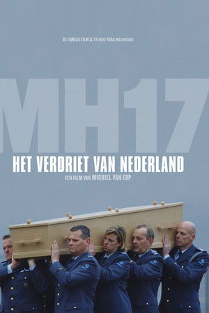 MH17: Het verdriet van Nederland
