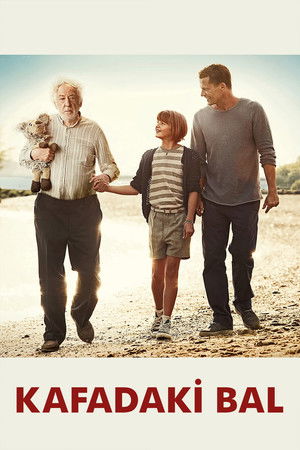 Kafadaki Bal