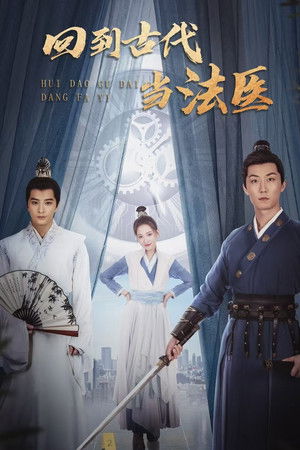 回到古代当法医