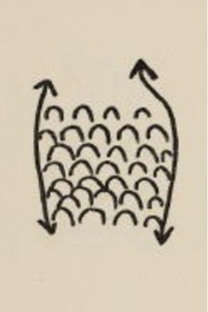 Projet Pour Un Poisson