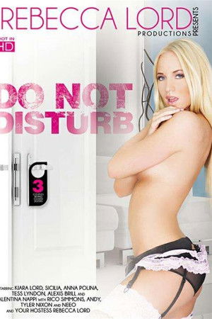 Do Not Disturb 3