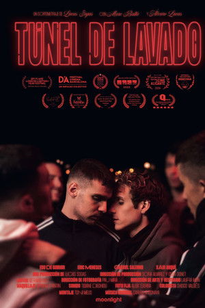 Túnel de lavado