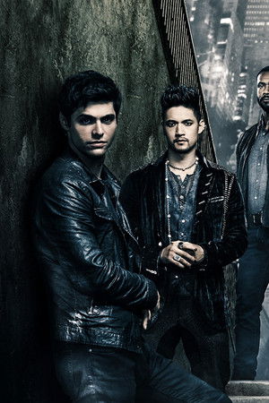 Shadowhunters The Mortal Instruments