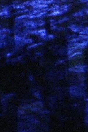 Innocence and Despair